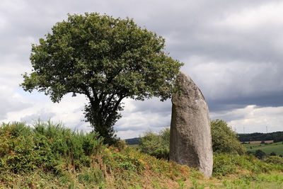 Menhir of kergornec - megalithic monument near saint-gilles-pligeaux village, brittany, france