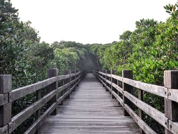 Wooden footbridge amidst trees against clear sky