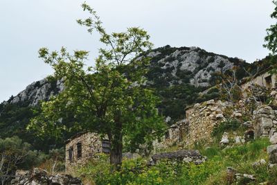 Low angle view of old houses against mountain