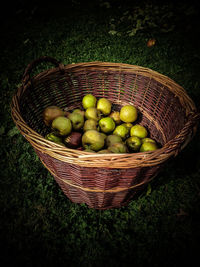 High angle view of fruits in basket on field