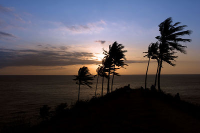 A palmtree silhouette  at senggigi beach lombok island