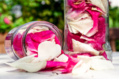 Close-up of pink flowers