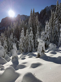 Trees on snow covered landscape against sky