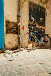 Bicycles on bicycle