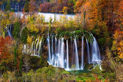 Scenic view of waterfall in forest during autumn