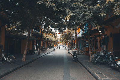 Street amidst trees in city