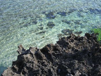 High angle view of sea shore