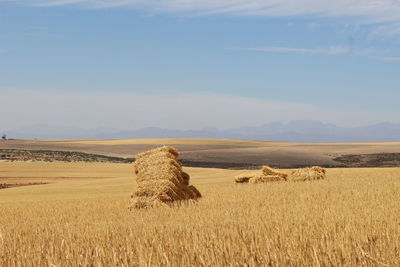 Hay bales on landscape against sky