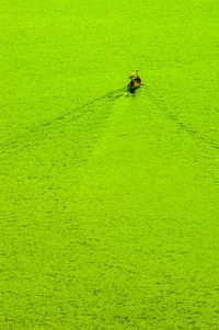 High angle view of nautical vessel on sea shore