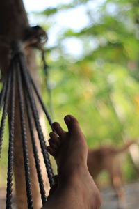 Close-up of person hand on rope