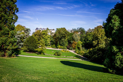 Trees in park against sky