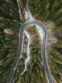 High angle view of road amidst trees