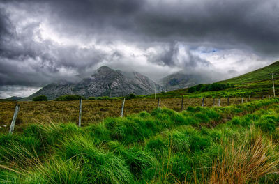 Scenic view of landscape against sky
