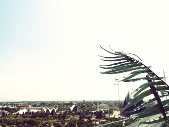 High angle view of trees and buildings against clear sky