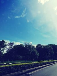 Road by trees against sky