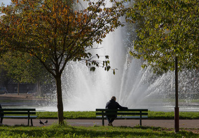 Rear view of woman sitting on bench in park