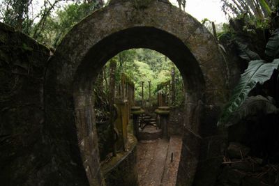 View of tunnel in forest