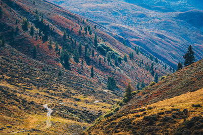 Scenic view of mountains