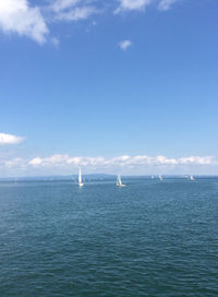 Sailboat in sea against sky