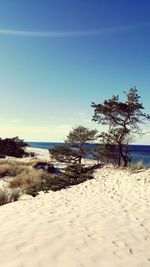 Scenic view of beach against clear sky