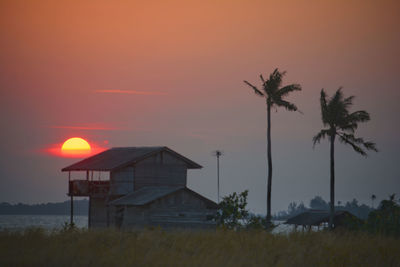 House and palm trees against sky during sunset