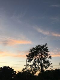 Low angle view of silhouette trees against sky during sunset