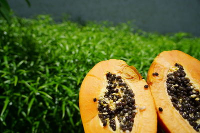 Close-up of orange fruit on grass