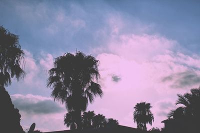Low angle view of palm trees against cloudy sky