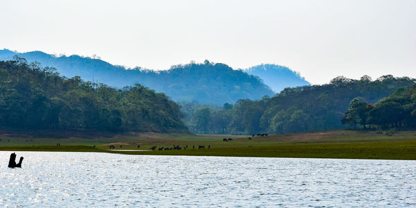 Scenic view of agricultural landscape against sky