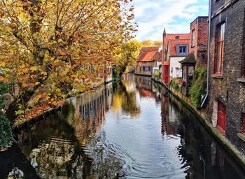 Canal amidst trees against sky