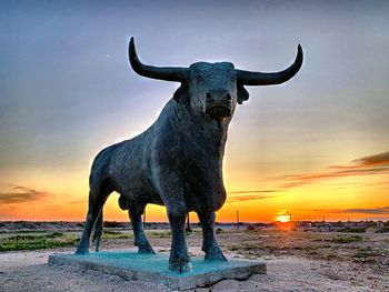 View of bull on beach during sunset
