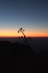 Silhouette plants on landscape against sky during sunset