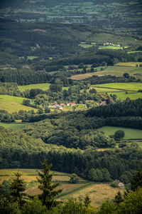 Scenic view of agricultural field