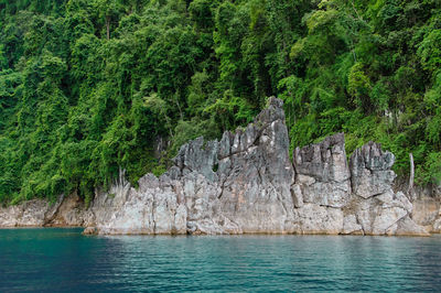 Scenic view of sea against trees