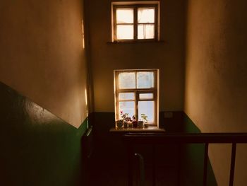 High angle view of plants on window sill in illuminated building