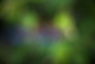 Defocused image of blurred background