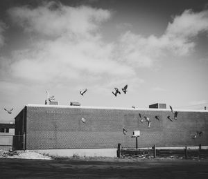 Flock of birds flying by building against sky