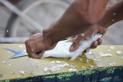 Cropped hands of man cutting fish at market