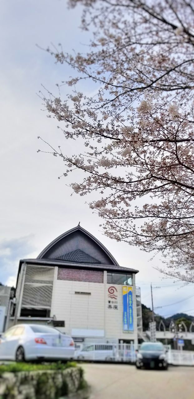 built structure, tree, architecture, sky, building exterior, house, outdoors, no people, day, nature, land vehicle, beauty in nature, clear sky