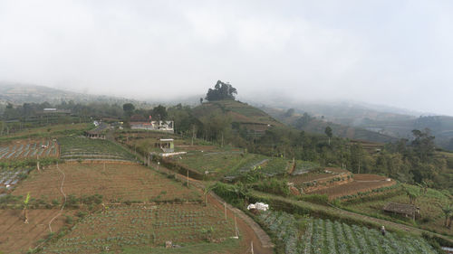 Scenic view of agricultural landscape against sky