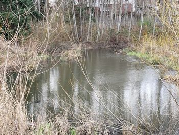 High angle view of lake