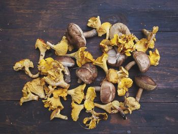 Boletes and chanterelles on a wooden table