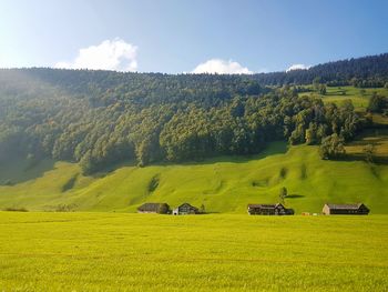 Scenic view of field against sky