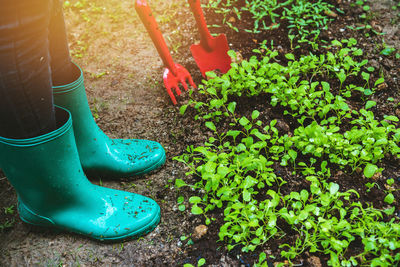 Low section of woman standing by plants