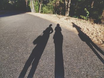 Shadow of trees on road