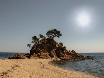 Cap roig, costa brava
