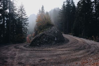 Road amidst trees in forest against sky