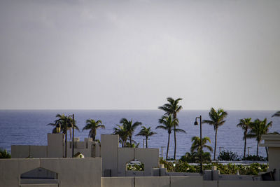 Palm trees by sea against sky