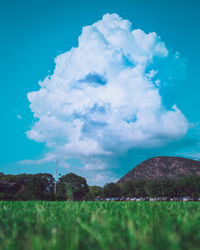 Scenic view of field against blue sky