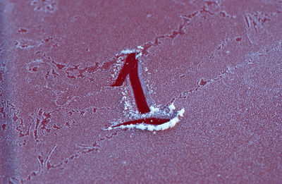 High angle view of insect on sand